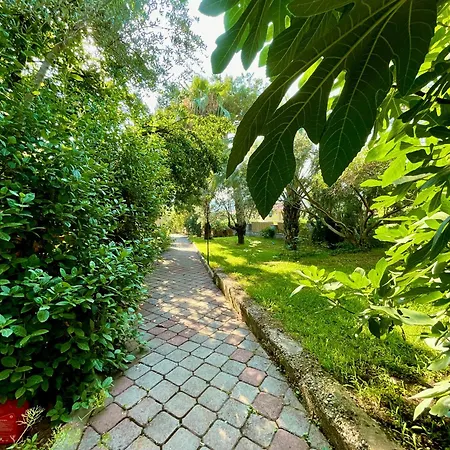 Gunes Boutique Hotel 3*