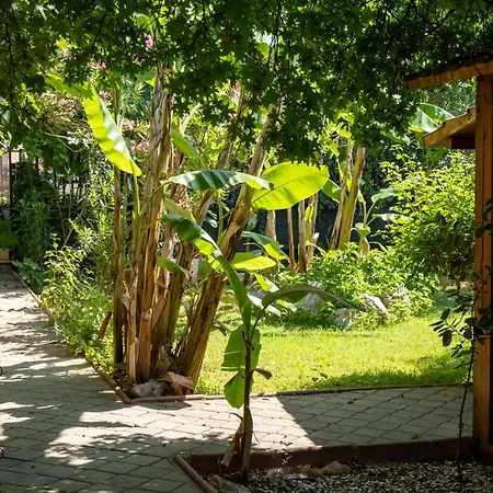 Hotel Guenes Boutique - 3*
