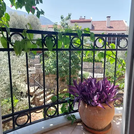 Hotel Guenes Boutique -